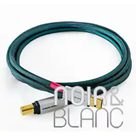 Plus que quelques jours | Câble USB Acoustic Revive USB-PL Absolute