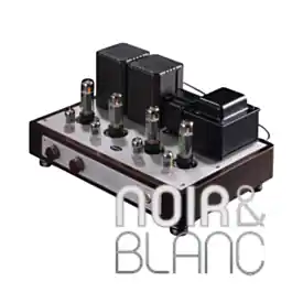 Profitez-en maintenant - Amplificateurs Aurorasound HFSA-02