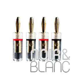 Accessoires Pro-Ject Connect it Plug Banana LS E - Offre du jour