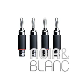 Bien noté - Accessoires Pro-Ject Connect it Plug Banana LS DS
