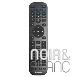 Bonne affaire - Télécommande Rvolution RF Remote