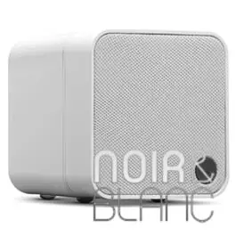 Produit tendance - Enceintes Cambridge Audio MSX10