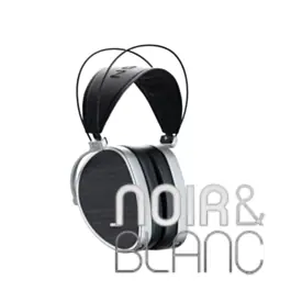 Casques audio Dan Clark Audio ÆON CORE - Très apprécié des clients
