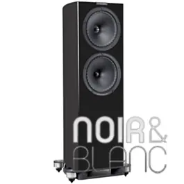 Enceintes colonne Fyne Audio F704SP - Préféré des clients