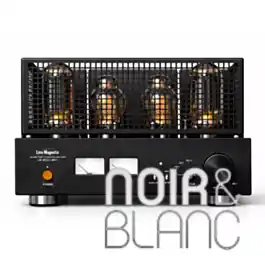 Haute qualité - Amplificateurs Line Magnetic LM-805IA MKII