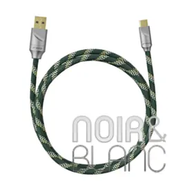 Câble USB Fiio Link TC3 - Expédition rapide