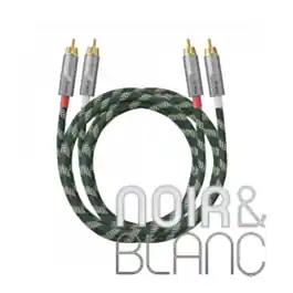 Câble RCA Fiio Link RCA1 - Top des ventes