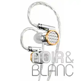 Écouteurs Fiio Snowsky Oak Nano | Incontournable