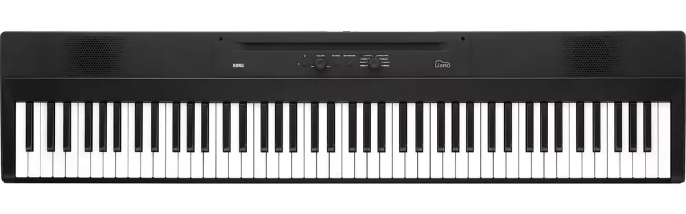 Korg Liano - Dernière chance