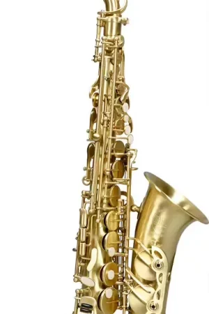 Prix réduit - SML Paris A420-II Alto Mib Brossé Verni
