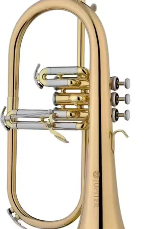 Prix cassé | Jupiter 1100RQ - Sib Verni + Pav. Cuivre Rose