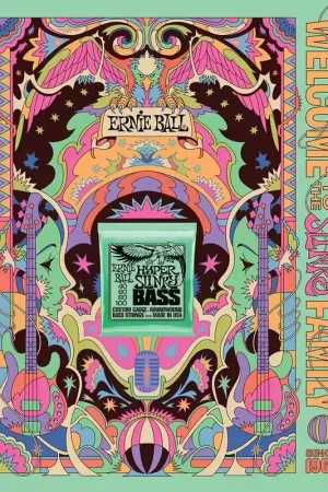Ernie Ball Poster Ernie Ball Slinky 2022 Format A0 Hyper Bass | Plébiscité par les clients