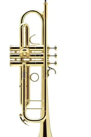 Disponible maintenant | Courtois Confluence Sib Vernie - AC335BM-1-0