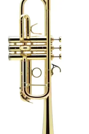 Courtois Confluence Ut Vernie - AC335CML-1-0 - Incontournable
