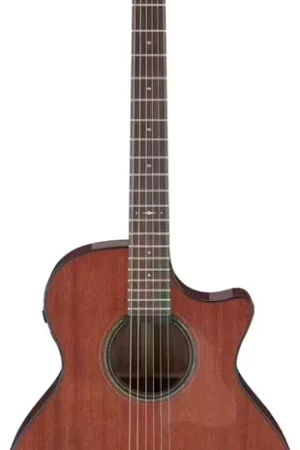 Très demandé - Ibanez Ae440-Lgs Natural Platinum