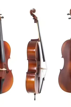 Gewa Allegro Violoncelle 7/8 - Expédition immédiate