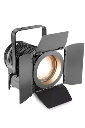 Livraison rapide - Cameo TS 100 WW