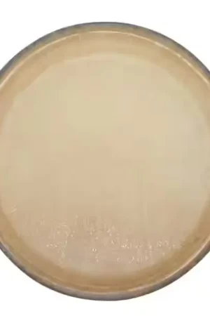 Achetez dès aujourd'hui - Gewa Peau Bongo 7.5"