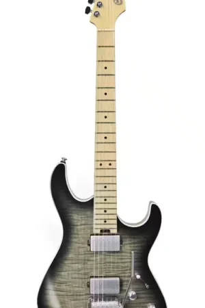 Cort G290 Trans Black Burst | Disponible maintenant