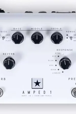 Très bien noté | Blackstar Dept. 10 Amped 1
