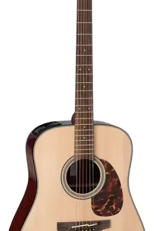 Takamine Japon Limited FT340BS Dreadnought | Dernière chance