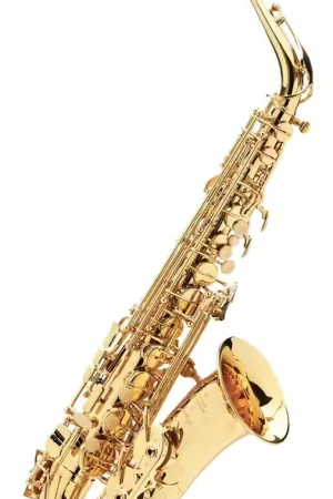 Direct usine - Buffet Crampon Prodige Alto Mib Verni - BC8301-1-0GB