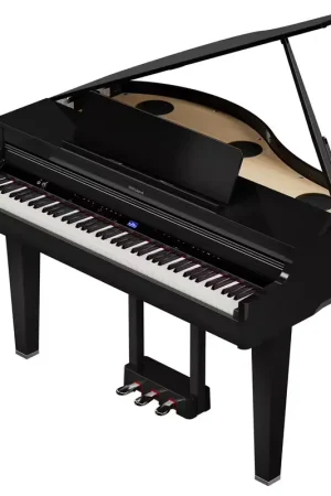 Meilleure vente - Roland GP-6 Noir Brillant