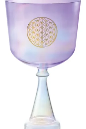 Préféré des clients - Sonic Energy Singing Chalice Sonic Energy Cristal 8"