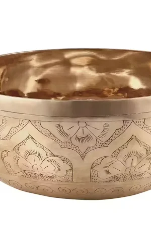 Sonic Energy Singing Bowl Sonic Energy Grave 1000G | Prix bas
