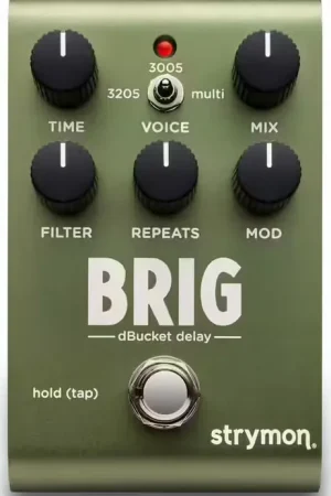 Strymon Brig Dbucket Delay | Affaire à saisir