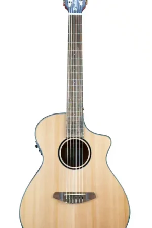 Retour facile - Breedlove Discovery S Concert Nylon Ce