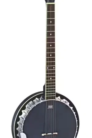 Prix promo | Ortega Banjo 6 Cordes Electro Noir