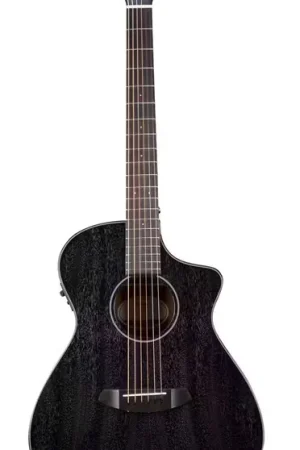 Nouveau produit | Breedlove Rainforest S Concert Orchid Ce