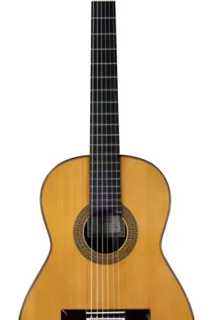 Best-seller | Esteve Guitare Conservatory Table Cedre