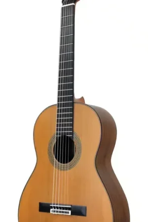 Esteve Guitare Mod.5 Table Cedre | Disponible maintenant