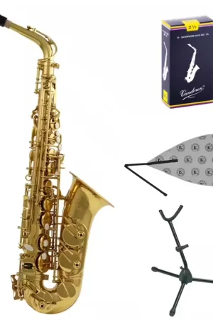 Woodbrass Pack WSA300 Alto Prêt à Jouer - Commandez maintenant
