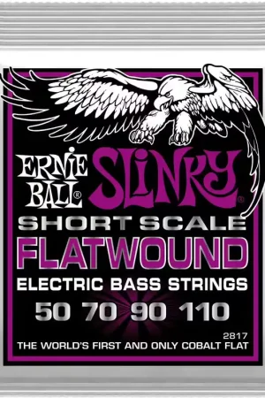 Profitez-en - Ernie Ball 2817 Filet Plat Power Slinky Flatwound Short Scale 55-110