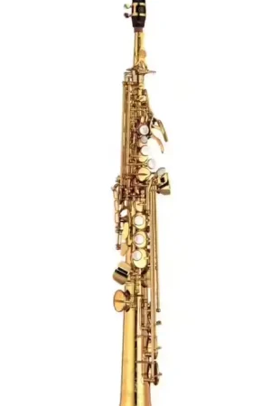 Paiement sécurisé - Yamaha YSS875EX Custom - Soprano Sib Verni