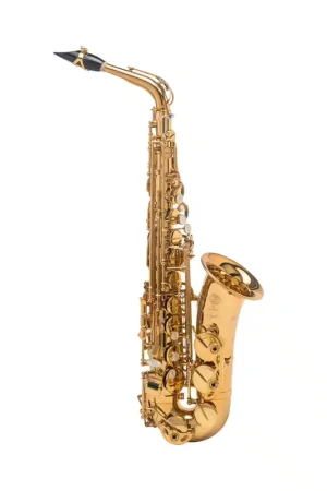 Selmer Signature - Alto Mib Verni | Aujourd'hui seulement