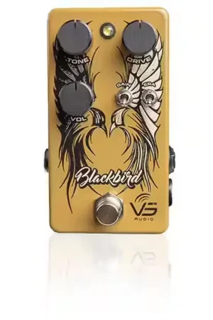 Très demandé | Vs Audio Blackbird
