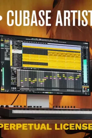 Steinberg Cubase Artist 15 | Dernière chance