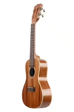 Achetez maintenant | Kala Gloss Solid Mahogany Concert