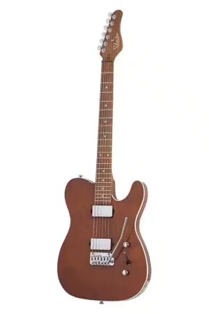 Prix malin | Schecter Pt Van Nuys Signature Gloss Natural