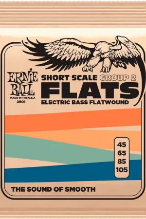 Nouvel arrivage | Ernie Ball 2801 Flats Group 2 Short Scale 45-105