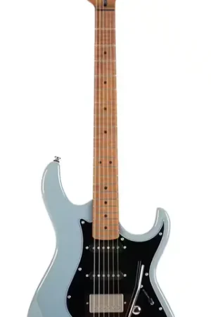 Qualité professionnelle | Cort G250 Se Bleu Gris Brillant