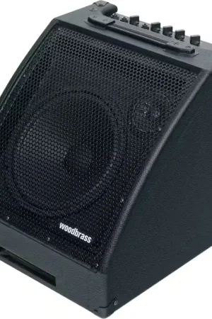 Commandez maintenant - Woodbrass D30BT 30W