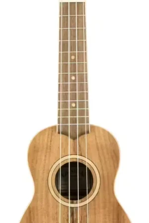 Lanikai Acst-S Soprano | Bien noté
