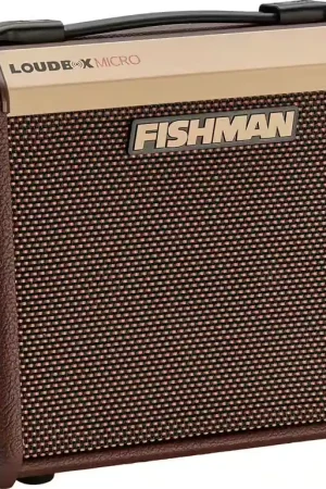 Fishman Amps Loudbox Micro 40W | Bonne affaire