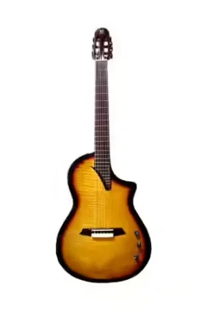 Achetez dès maintenant - Martinez Guitars Hispania Sunburst + Housse