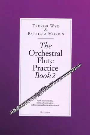 Novello Wye T. - The Orchestral Flute Practice Book 2 - Tout nouveau